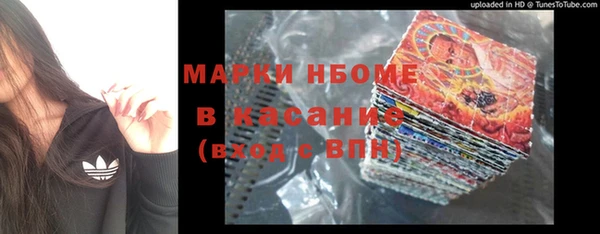 прущие грибы Аркадак
