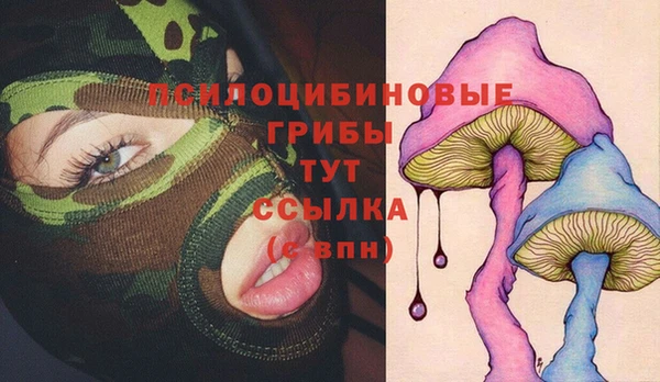 эйфоретик Алексин