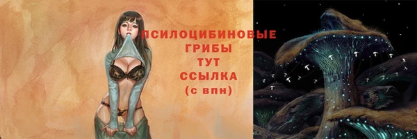 эйфоретик Алексин
