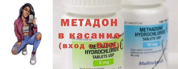 прущие грибы Алексеевка