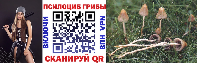 Псилоцибиновые грибы мухоморы  Кувшиново 
